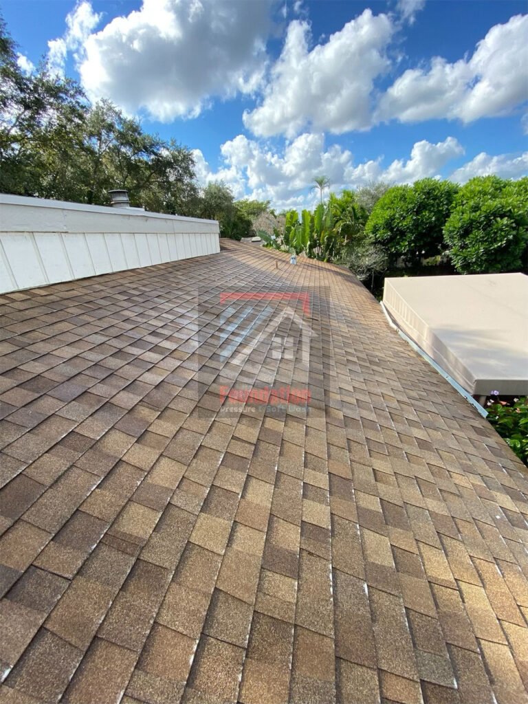 Roof after soft wash solution has settled