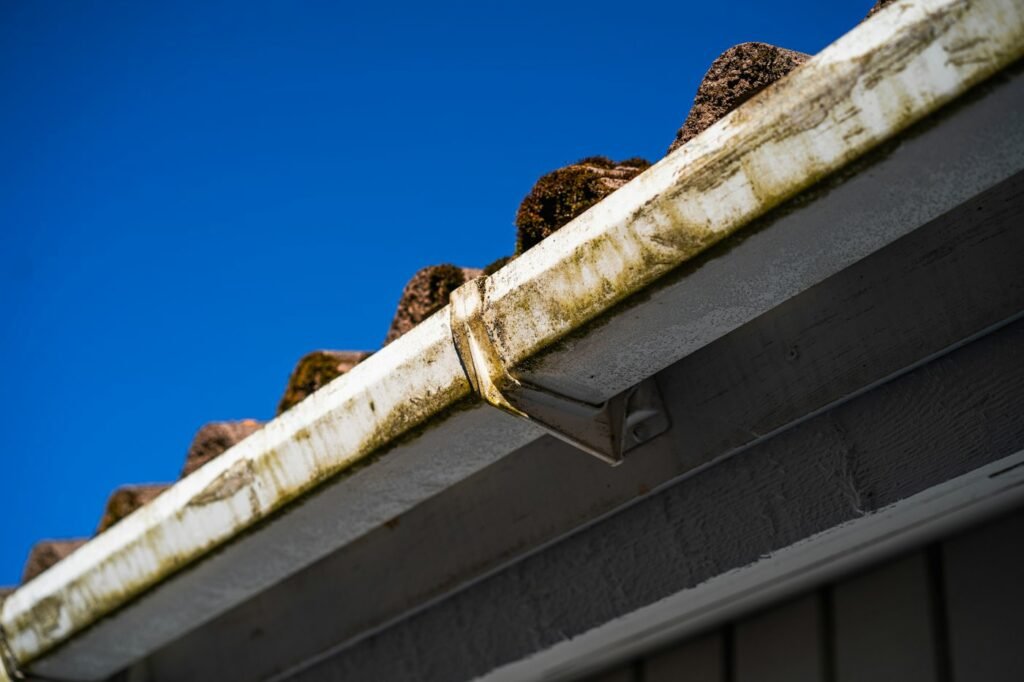 Dirty gutter before gutter cleaning